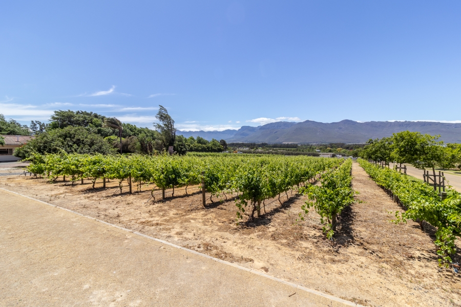 0 Bedroom Property for Sale in Paarl South Western Cape